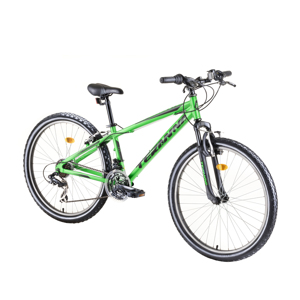 Horský bicykel DHS Teranna 2623 26" - model 2019 Green - 13,5"