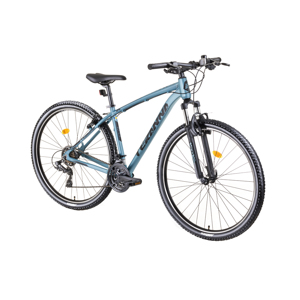Horský bicykel DHS Teranna 2923 29" - model 2019 Light Blue - 19,5"