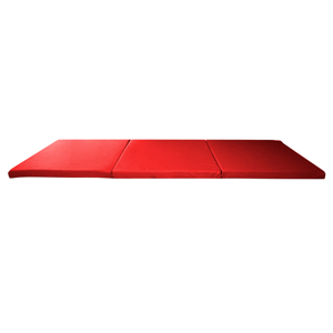 Skladacia gymnastická žinenka inSPORTline Pliago 180x60x5 cm červená