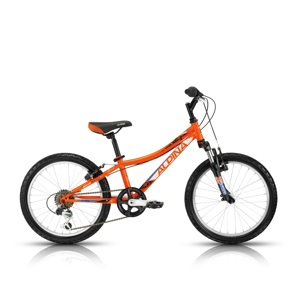 Detský bicykel ALPINA Bestar 30 20" - model 2016 255 mm (10")